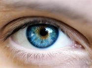 Picture of Анатомија на окото